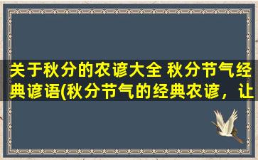 关于秋分的农谚大全 秋分节气经典谚语(秋分节气的经典农谚，让你了解一年四季的变化！)